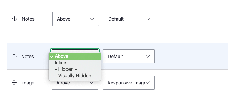 text field display field format