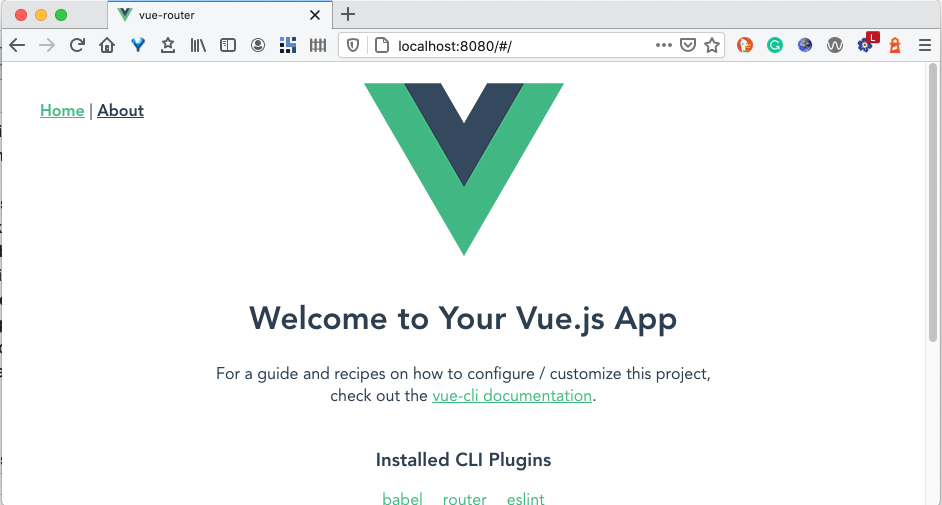 a vue.js app with a #hash in the URL path
