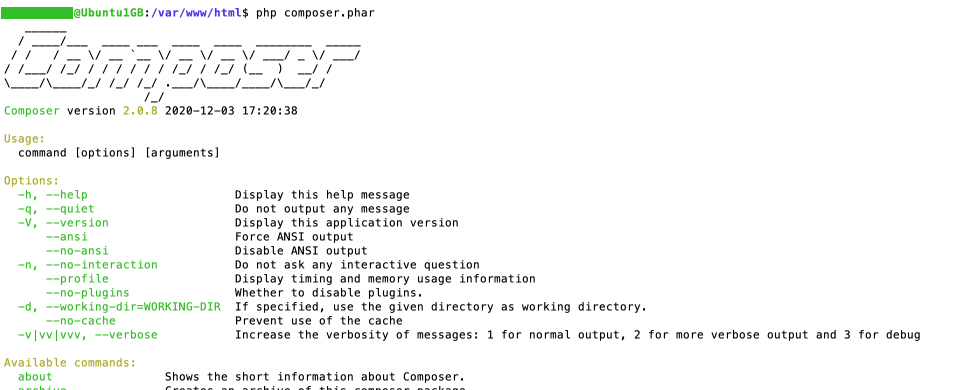 composer terminal output