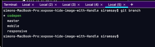 git branch command showing working copy and other branches