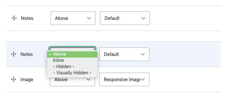 text field display field format 