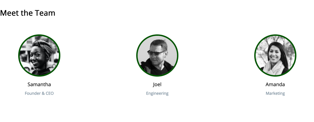 meet the team view illustrated, using block filed and paragraphs modules