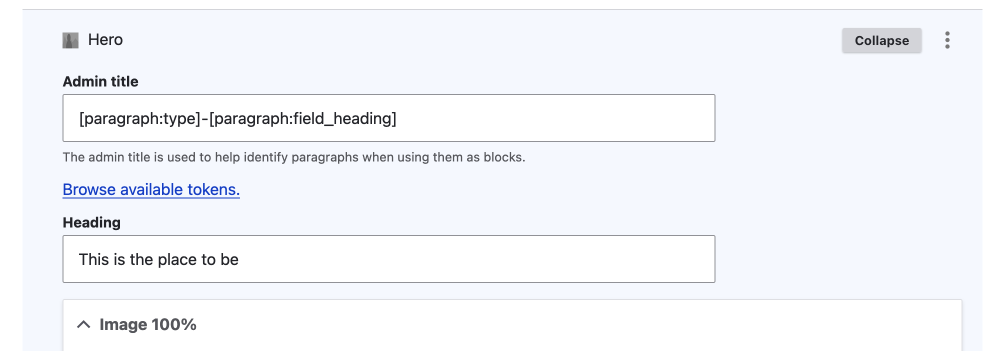 paragraph instance with admin title and heading field